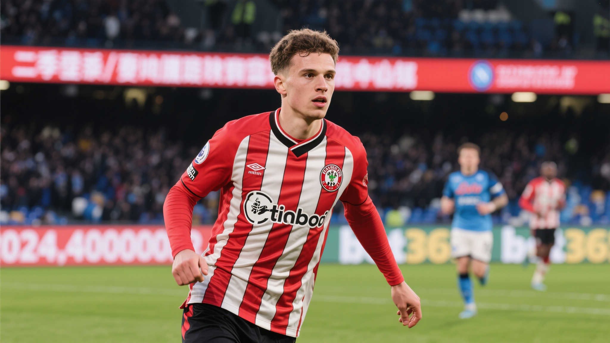 世界杯预测平台网页版入口